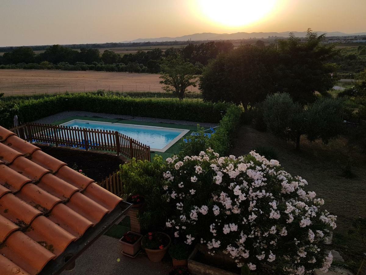 Il Poggio Stellato Gospodarstwo agroturystyczne